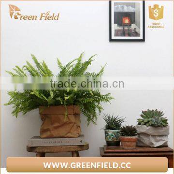 Washable Paper Pots,waterproof Kraft Paper Plant Bag photo-5
