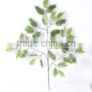 Guangzhou Shengjie Fire Retarant Ficus Leaves/banyan Tree Leaf With Resistence photo-2