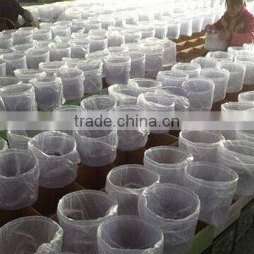 8L Mineral Water Filter Machine Price photo-5