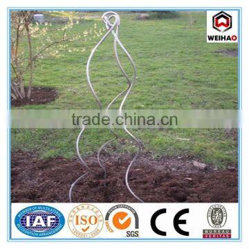 (galvanized or PVC coated Tomato Support Stick