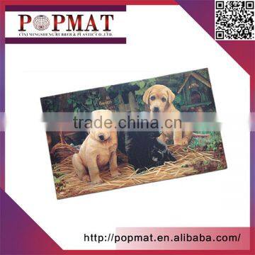 Wholesale Non-slip Bathroom Floor Mat Cotton-imitated Velvet Large Door Mat photo-2