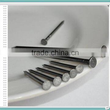 Factory Manufacturer Wire Carbon Iron Common Nail
