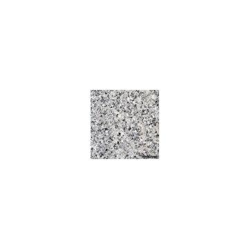 Pvc Flooring
