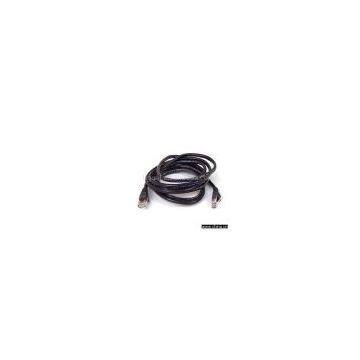 Sell Cat6 RJ45 Ethernet Network Cable 100FT N21