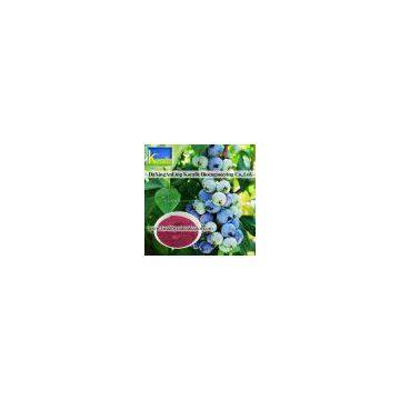 Sell Blueberry Extract(Anthocyanin 5%-70%)