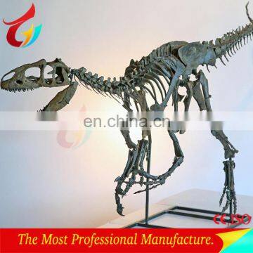 Life size dinosaur skeleton model for sale