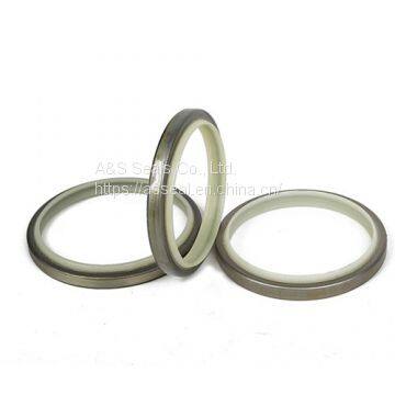 NOK Dust Seals Type DKBI and Type DKBI3
