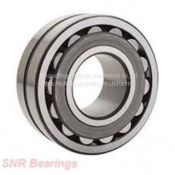 SNR Bearing