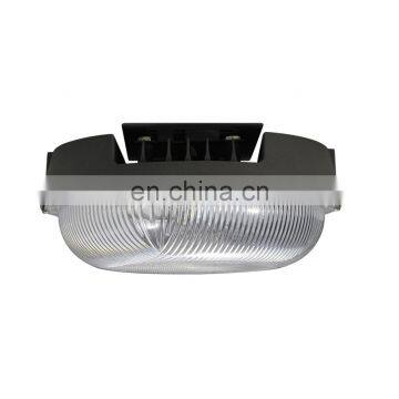 50W 75W Led Factory Lighting Canopy Led Lights photo-2