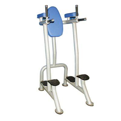 China  Wholesale  Commercial Gym Equipment  Vertical Leg Raise  Chin Dip Machine