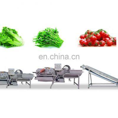 1000kg Cabbage Cutting Washing Drying Processing Line photo-2