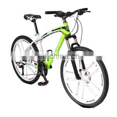 Bicycle variable speed adult bicycle