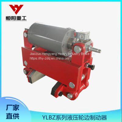 Hengyang Heavy Industry Hydraulic Wheel Side Brake Hydraulic Cylinder With Excellent Performance YLBZ63-200