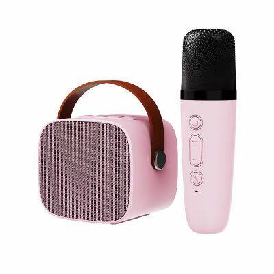 OEM Factory Mini Bluetooth Speaker With Microphone Wireless Portable Dual Audio For Home Karaoke Singing photo-2