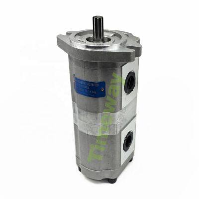 TIMEWAY CBK Series Hydraulic Double Gear Pump P221515DCG High Pressure Gear Oil Pump Customizable photo-2