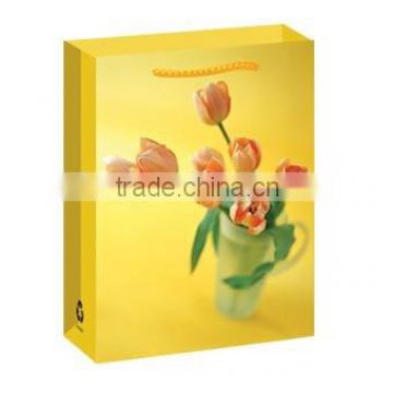 glossy lamination paper shopping bag