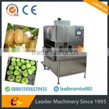 Leader low price kiwi fruit washing and peeler machine