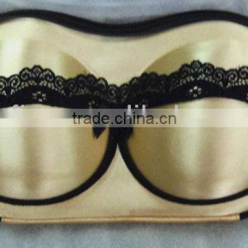 Fancy Champagne Satin Covered EVA Bra Case