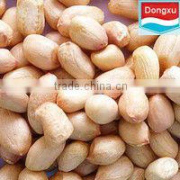 organic groundnut / peanut kernels baisha