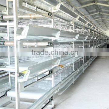 broiler chicks/poultry farm and agriculture equipments