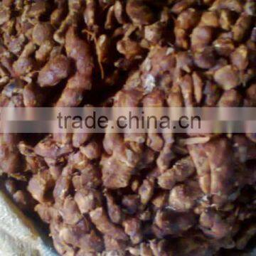 Tamarind from Indonesia, good price and quality