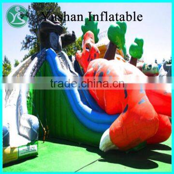 Alibaba China best quality adult size inflatable water slide