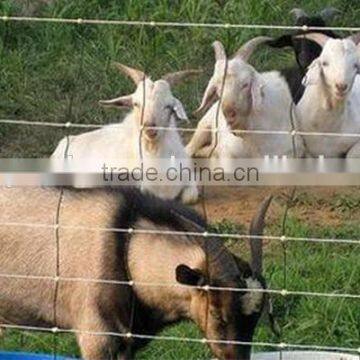 3.1mm farm fence/pasture fencing