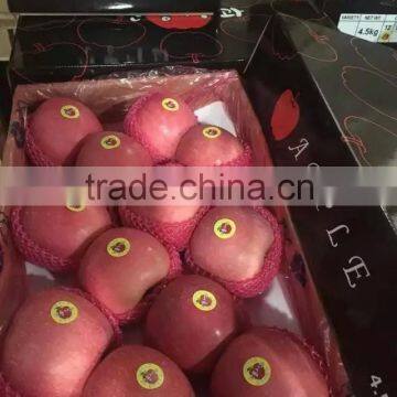 apple type china fuji apple exporter importers of apple and fuji apple