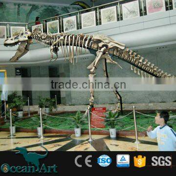 OA-DS-S2412 Artificial Dinosaur Fossils For Sale