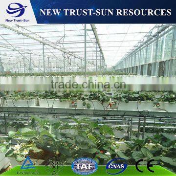 Simple Low Cost Polycarbonate/ PC Greenhouse With Hydroponics System photo-4