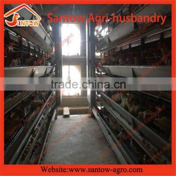 Customised Pretty poultry slaughtering equipment
