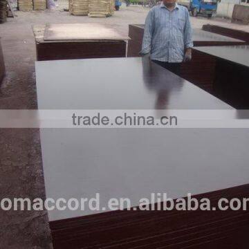 black film faced plywood (12mm)