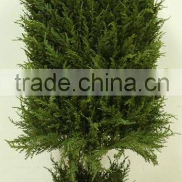 Whole special designed popular Artificial topiary grass tree plastic grass town