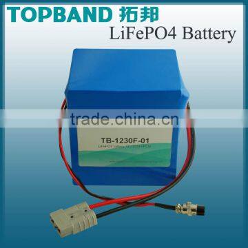 Hot Sale!! Lithium (LiFePO4) Battery 12V 30AH with PCM for solar/power systerm /lighting