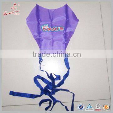 Weifang Kaixuan 33cm Wingspan Foldable Kite for Advertising