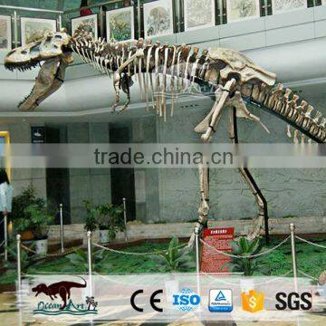 OA2214 Exhibition Equipment Fiberglass Dinosaur Bone Fossils