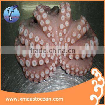 Delicious japanese live octopus for sale