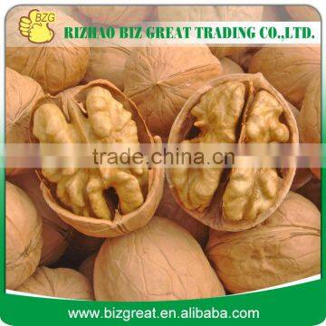 Supply Walnut Kernel, Walnut in Shell with high quality