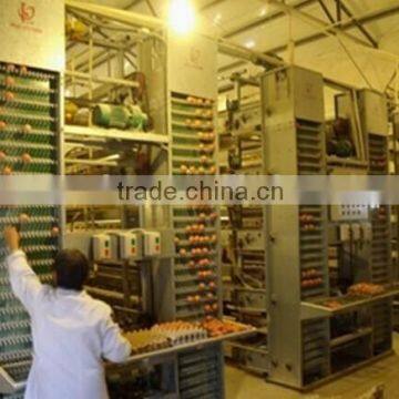 High Quality Poultry House Equipments Design For Layers