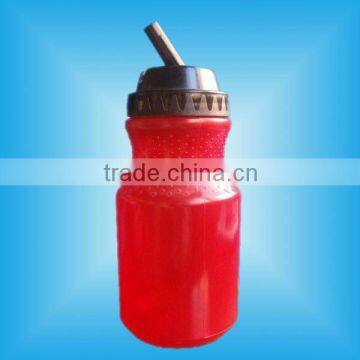 Red insert sports bottle