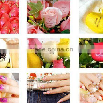 Hot Sale Perfect Functions and Highest Technology Style Flower Printer