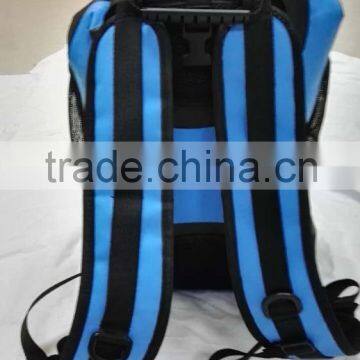 wholesale Lightweight Nylon Waterproof Dry Bag Travel Foldable Backpack(D352)