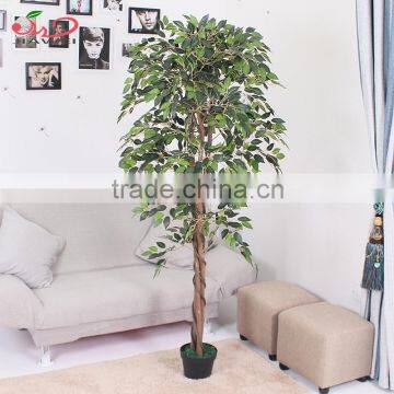 2016 Artificial Green Ficus Tree Plant /beautiful Green Ficus/factory Artificial Ficus Wholesale