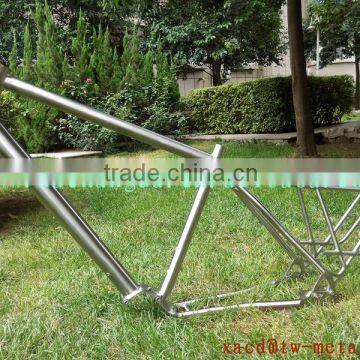 titanium MTB bike frame with rear rack