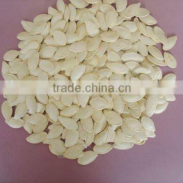 Shine skin Pumpkin Seeds Grade AA