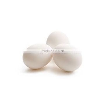 Supplies Of White Shell Chicken Eggs With Best Quality