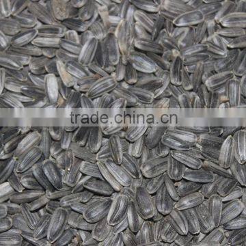 SUNFLOWER OIL ( Cold Press ) photo-5