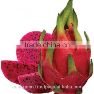 RED DRAGON FRUIT