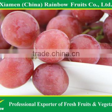 Fresh sweet red globe grape fennel seed grapes