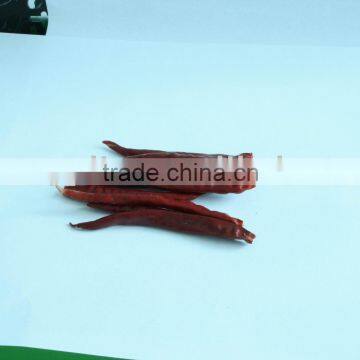 dried chilli